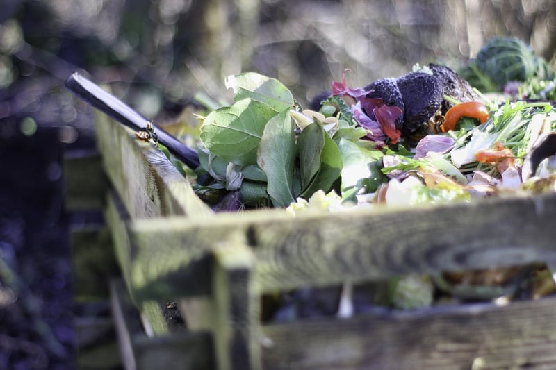 Compost Bins