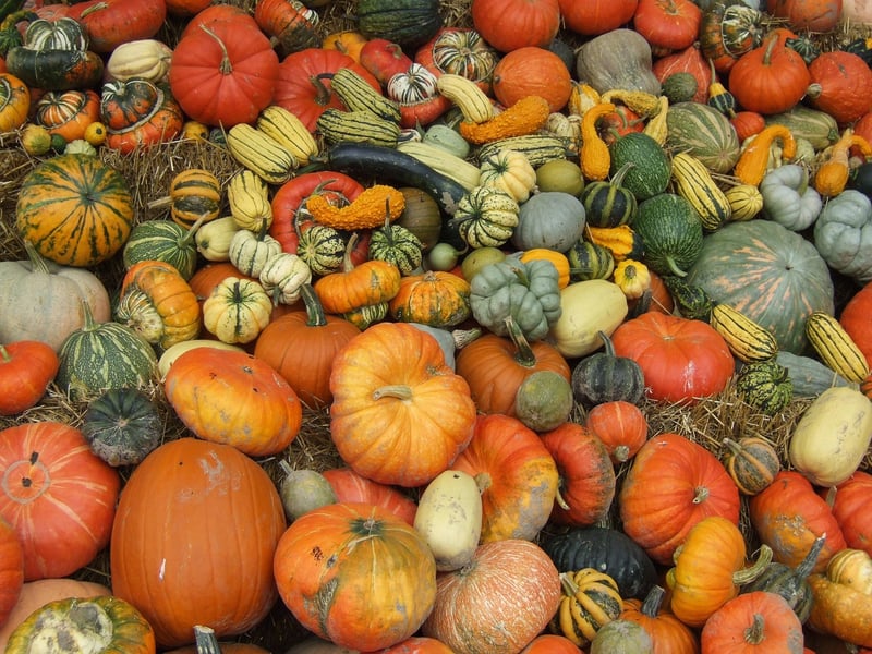 Harvest Festivals